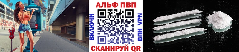 Альфа ПВП СК КРИС  Заполярный 