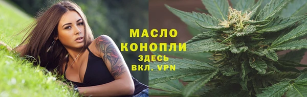 дурь Гусев