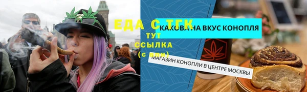 дурь Гусев
