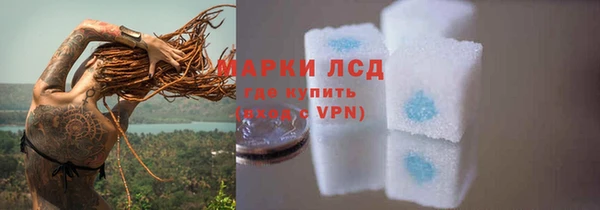 дурь Гусев