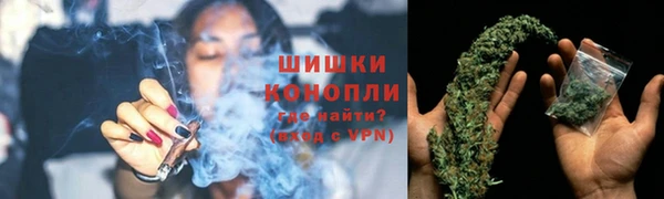 дурь Гусев