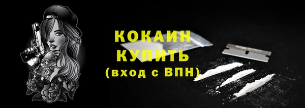 дурь Гусев