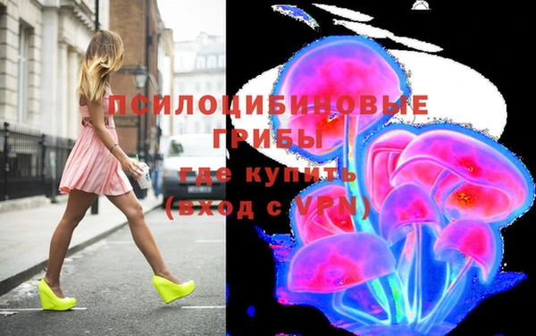 дурь Гусев