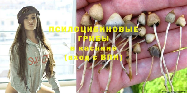 кокс Гусь-Хрустальный