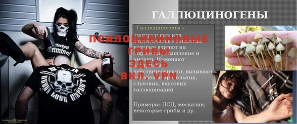 дурь Гусев