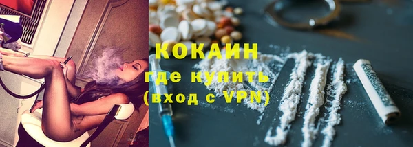 сатива Горнозаводск