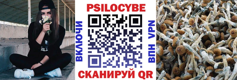 ссылка на мегу вход  цены   это Telegram  Псилоцибиновые грибы Magic Shrooms  Заполярный 